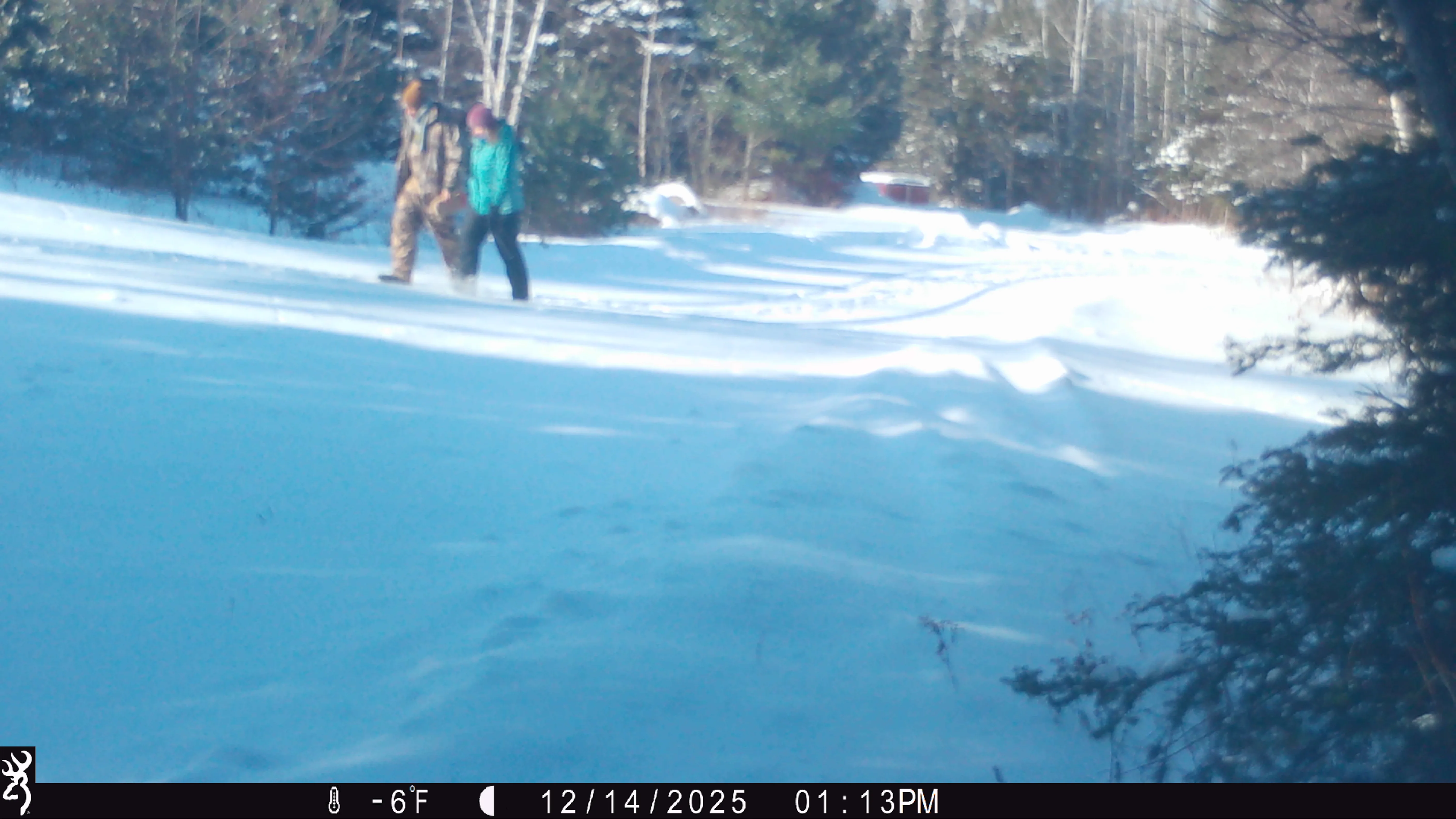 Trail camera