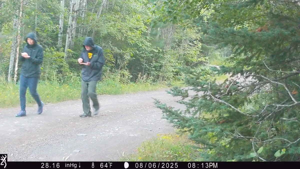 Trail camera